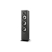 Polk Monitor XT60 Floor-standing speaker - Polk-MXT60